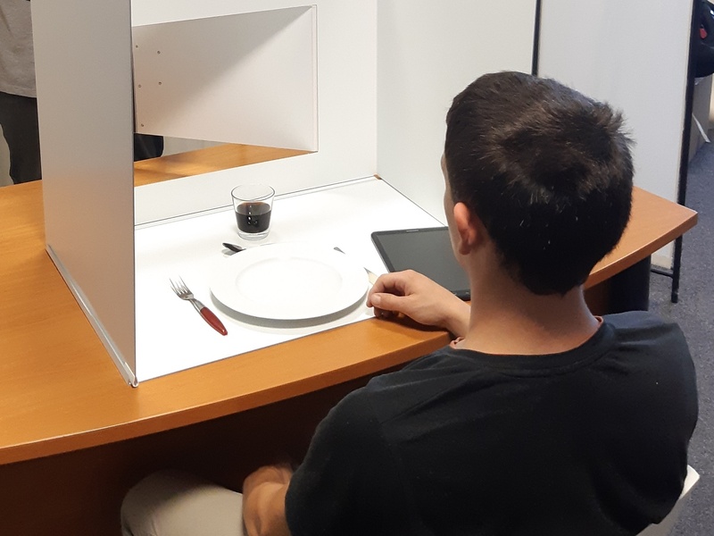 Cabines d'analyses sensorielles Desktop Lab 